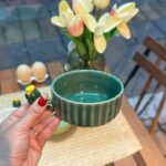 پیاله های پرسیلین کاکتوس