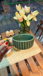 پیاله های پرسیلین کاکتوس - Image 2