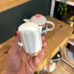 جاخلالی کاکتوس